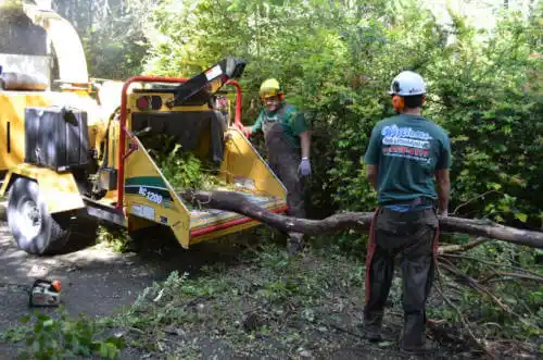 tree services Townsend